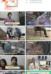 100세 프로젝트.E91.230312.1080p.H264-F1RST.mp4