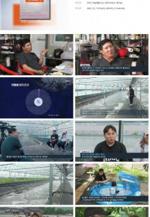 sbs뉴스토리.E440.230909.1080p.H264-F1RST.mp4