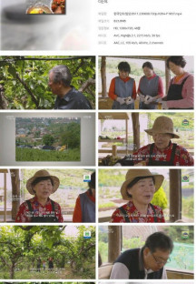 한국인의 밥상.E611.230608.720p.H264-F1RST.mp4