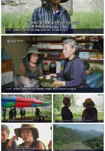 팔도밥상.E270.220723.1080p.H264-F1RST.mp4